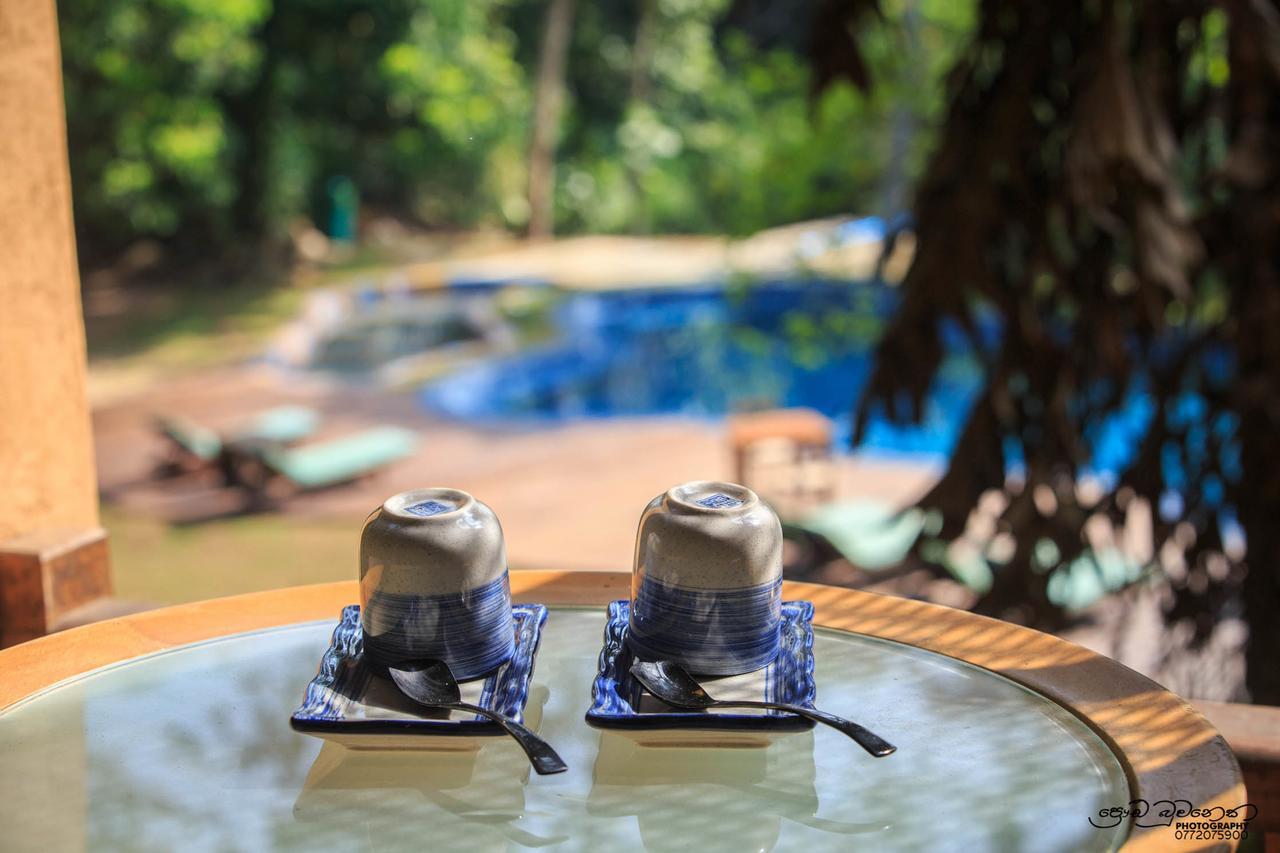 Hotel Jungle Village 4*